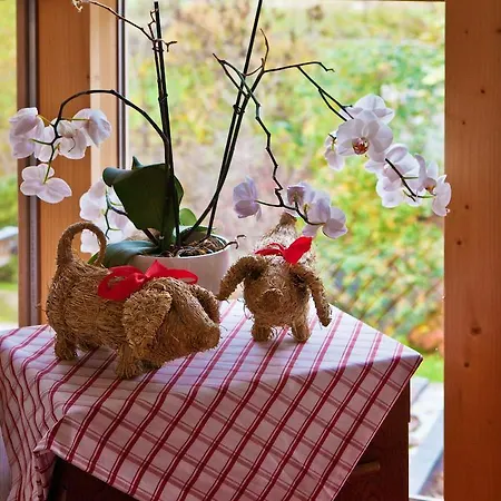 Apartament Ehammer
