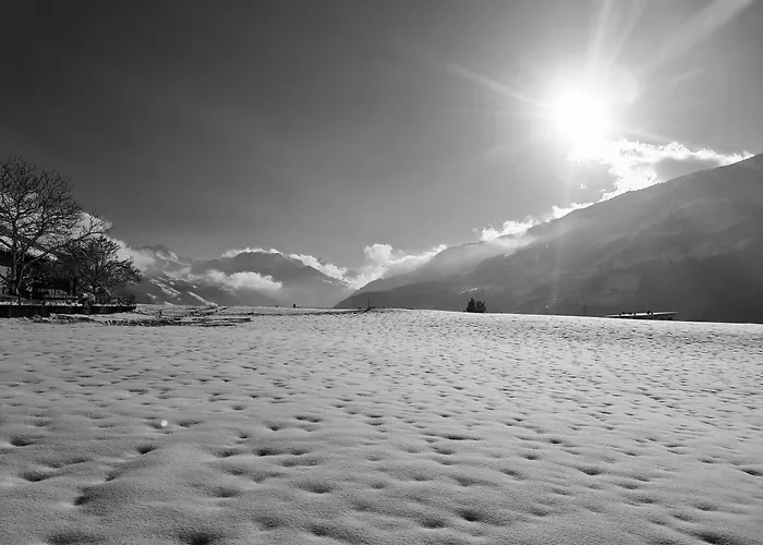 Ehammer Апартаменты